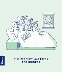 Casper The Perfect Mattress For Birders Graphic Design Graphic Perfect Mattress