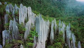 Kempen penanaman 100 juta pokok. 8 Tempat Unik Di Malaysia