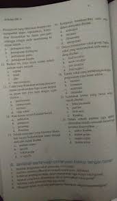 Maybe you would like to learn more about one of these? Jawab Okheyy Plisplidlis Brainly Co Id