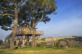 Per maggiori info scrivi a info@tenutailcigno.it. Casa Sull Albero La Piantata Agriturismo B B Prodotti Biologici Prodotti Alla Lavanda Cavalli Spagnoli La Piantata Casa Sull Albero E B B Ad Arlena Di Castro Prodotti Biologici Prodotti Alla Lavanda Cavalli