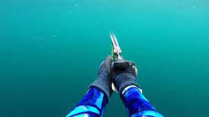 Lying on the gulf of mexico, destin offers a wide range of options for a spearfishing expedition. Spearfishing Freediving Destin Fl May June 2016 Youtube