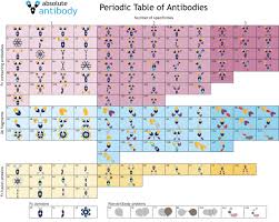 Do you remember your noble gases from your halogens? Periodic Table Of Antibodies Download Pdf Test Absolute Antibody