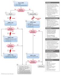 Other causes of shock in pregnancy. Https Cpr Heart Org Media Cpr Files Cpr Guidelines Files Highlights Hghlghts 2020 Ecc Guidelines English Pdf