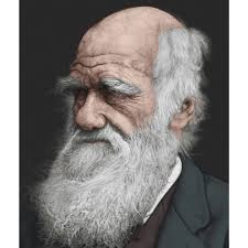 Charles Darwin, pencil