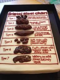 Stool Chart Cake Wtf