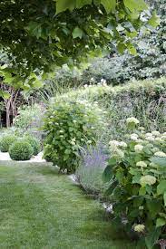 Hortensien das passt dazu mein schöner garten. Dieartigegarten Sommergarten Mit Buchs Ballhortensien Lavendel Grasern Sommergarten Garten Lavendel Hortensien Garten