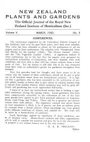 Image result for Erythrocephalum scabrifolium