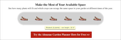 We did not find results for: Rhubarb Planting Growing And Harvesting Rhubarb The Old Farmer S Almanac