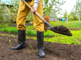 We did not find results for: How To Improve Clay Soil Saga
