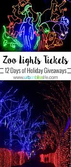 Are you presently in the armed forces? Enter To Win A 4 Pack Of Zoolights Tickets At The Oregon Zoo