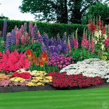 47 Staudengarten 100 Zwiebeln Bestellen Sie Jetzt Ihre Bestellung Online Bestellen Bestellung Jetzt Beautiful Flowers Garden Front Yard Perennial Garden