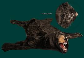 Try amazon prime 30 days for free! Realistic Faux Bear Skin Rug Brown Black Or Polar White On Popscreen