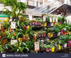 Home Depot Store Garden Center Display Nyc Stock Photo Alamy