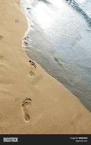Footsteps in the sand (bulgarian: Footsteps Sand On Image Photo Free Trial Bigstock