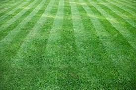 Maybe you would like to learn more about one of these? Weiss Lawn Care In Geneva Il Saveon