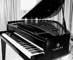 Jun 11, 2021 · getting on the train, before you get on the train, there's a kiosk right by the subway stop. Pin By Kimberly Roxx On Stuff I Want Piano Grand Piano Piano Man