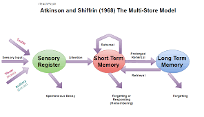Principles Information Processing Theories Focus On How People Attend To Environmental Events Encode I Memory Psychology Learning Theory Psychology Posters