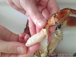 Check spelling or type a new query. Granchio Ecco Come Pulirlo Acqua Di Mare E Zucchero A Velo
