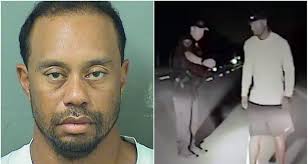 Elin Nordegren är gravid