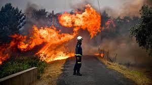 Mehr als 7000 hektar sind den flammen bereits zum opfer gefallen. Waldbrande In Sudeuropa Feuerwehr Bringt 10 000 Franzosen In Sicherheit
