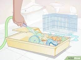 How To Clean A Rat's Cage (With Pictures) - Wikihow