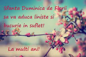 Multa sanatate tuturor columbofililor si escadrilei de pasari de care la multi ani! Mesaje Florii 2020 Cele Mai Frumoase Mesaje Urari De Florii Felicitari Florii 2020