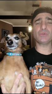 Feliz navi Cats 🤣🤣🤣🤣 parodia sbloccata 🤣🤣