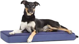 Shags wags bean bag pet bed. Barkbox Orthopedic Ultra Plush Dog Bed