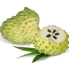 Looking for unusual fruiting plants and trees to create your own botanical gardens? Soursop Trees For Sale Fastgrowingtrees Com
