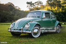 Image result for Medium Brown 1950 Beetle