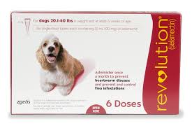 Starts to kill fleas within one hour of ingestion. Best Flea Treatments For Cats And Dogs 2021 Reviews By Wirecutter