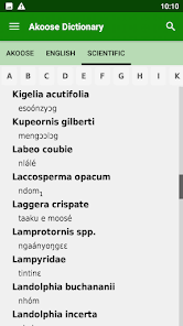 Image result for Landolphia incerta