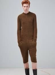 Image result for Alpaca Brown 1981 Motor Home