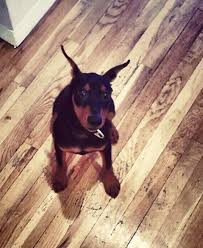 Holger Kurt Ward (@holgerkurtward) • Threads, Say more