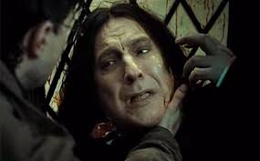 He was dumbledore's killer and the man harry hated and who, by all accounts, had hated him since he first set foot in hogwarts. The Saddest Harry Potter Deaths Ever Ew Com