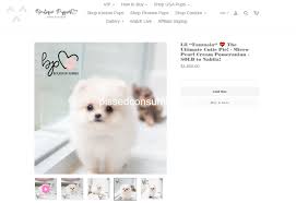 It took me a few weeks in nyc to find this great breeder. 46 Boutique Teacup Puppies Reviews And Complaints Pissed Consumer