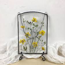 Check spelling or type a new query. A Year Ago I Picked Up A New Hobby Of Making Flower Herbariums And Here Is My Progress So Far Flower Frame Pressed Flowers Buttercup Flower