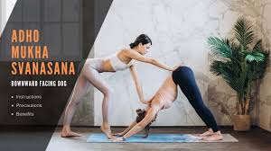 Adho Mukha Svanasana Downward Facing Dog Instructions Precautions And Benefits Downward Facing Dog Yoga Steps Yoga Postures