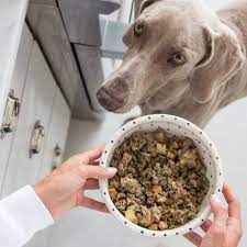 Homemade Dog Food Delivery Reviews Best Service For A Pet S Health Food Food And Drink Dog Food Recipes