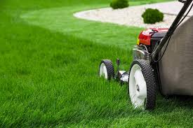 By utilizing scotts secure nutrients, a patented particle, nutrients are released when your lawn needs them, which helps 1 feeding last for up to 6. A Life Lesson From Cutting The Lawn