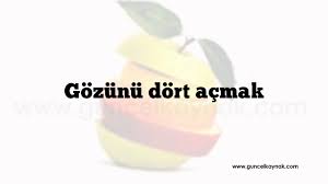 Gozunu Dort Acmak Deyimler Guncel Kaynagin Merkezi