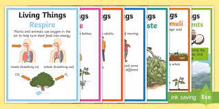 Maybe you would like to learn more about one of these? Characteristics Of Living Things Display Resources