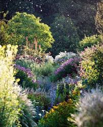 Salonduthe Hill And Garden Nursery New South Wales Beautiful Gardens Garden Nursery Healing Garden