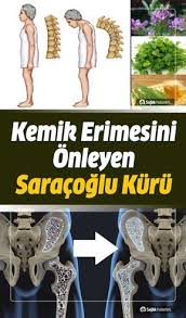 Kemik Erimesini Engelleyen Ve Kemikleri Guclendiren Saracoglu Kuru Kemik Tibbi Bitkiler Vucut Agirligi