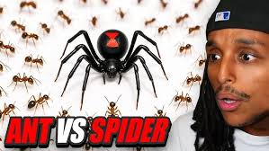 WE GOT AWESOME RUBY ARVYDAS SABONIS OUT OF POSITION GAMEPLAY!!! NBA 2K22  MYTEAM!!!