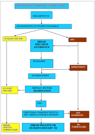 Epidemiology Of Tuberculosis In South Sudan