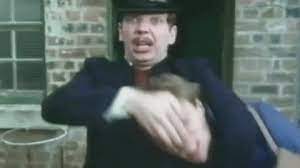 Via Giphy Rikmayall Kevinturvey Giphy Fight Gif Rik Mayall
