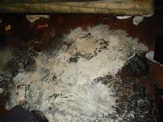 She was murdered at the age of 20 by her estranged husband/manager paul snider. The Nasty Files