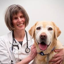 We take pride in being exceptional and compassionate veterinary care for the dogs and cats of carrollton, farmers branch, addison, prestonwood, coppell, lewisville, university park, richardson, the colony, buckingham, and highland park, texas. Nutrition Royal York Animal Hospital