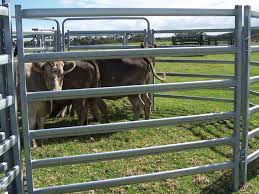 Horse Fence Panels For Raising Cattle Horses Other Livestoc
